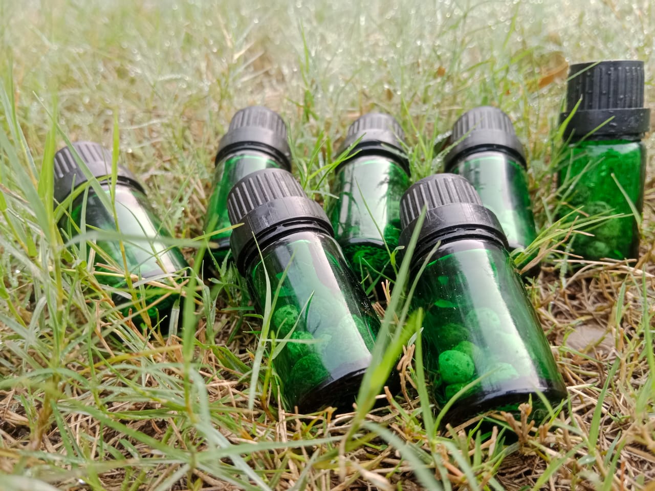 Green Life  - Pure Herbal